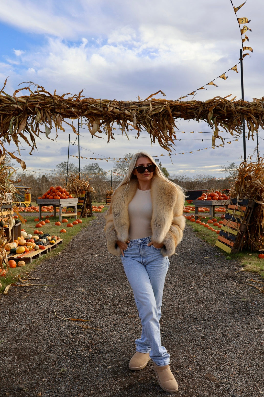 Premium Gold Island Cross Fox Fur Coat with Oversized Collar